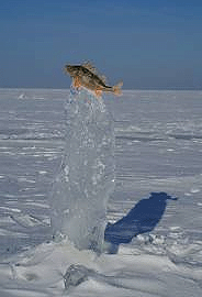 Ice Hut Rentals Ontario